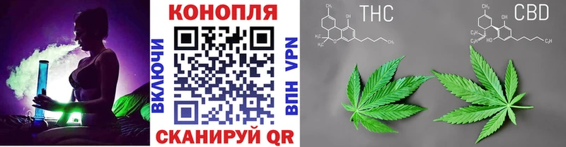 Шишки марихуана THC 21%  Нижний Тагил 